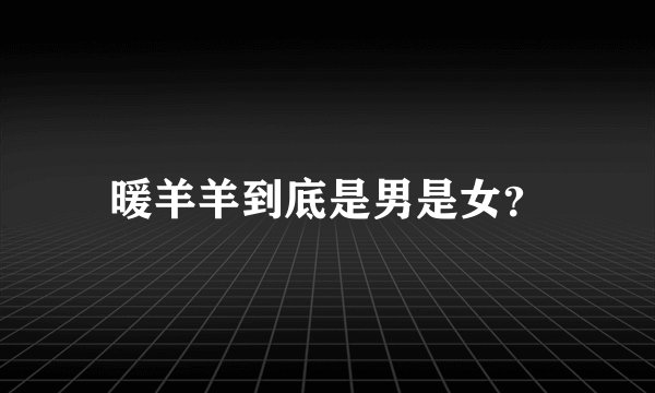 暖羊羊到底是男是女？