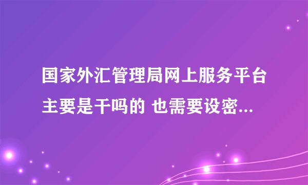 国家外汇管理局网上服务平台主要是干吗的 也需要设密码吗 它和国家外汇管理局应用服务平台主要有什么区别