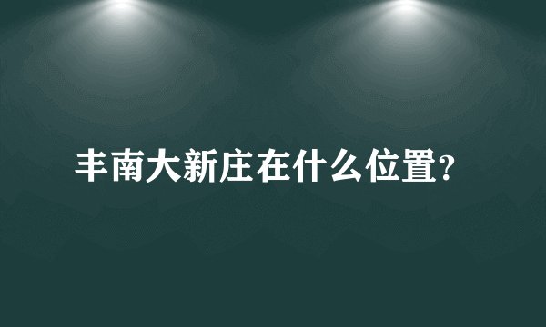 丰南大新庄在什么位置？