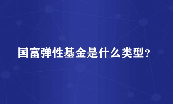 国富弹性基金是什么类型？
