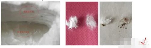 卡拉试用新手如何写报告