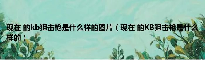 现在 的kb狙击枪是什么样的图片（现在 的KB狙击枪是什么样的）