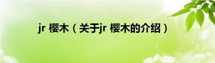 jr 樱木（关于jr 樱木的介绍）