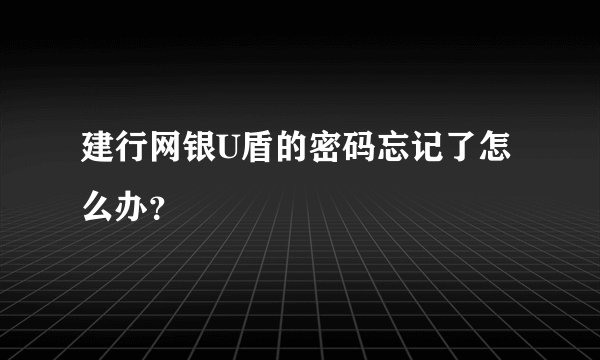建行网银U盾的密码忘记了怎么办？