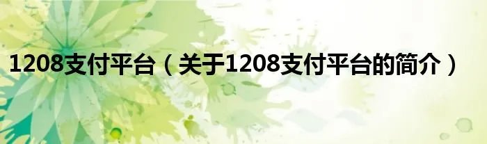 1208支付平台（关于1208支付平台的简介）
