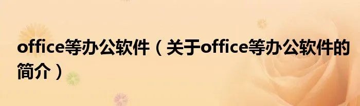 office等办公软件（关于office等办公软件的简介）