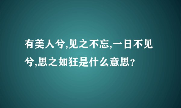 有美人兮,见之不忘,一日不见兮,思之如狂是什么意思？