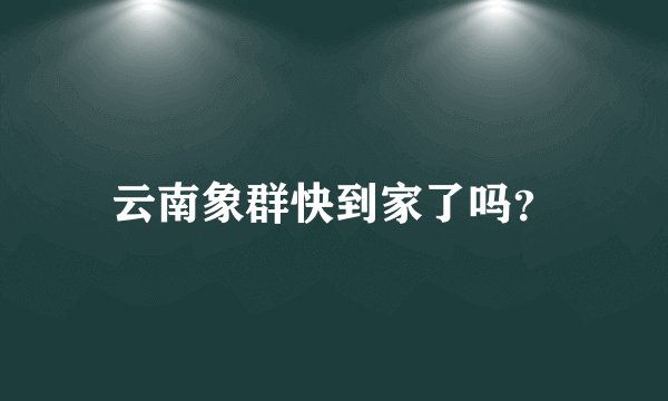 云南象群快到家了吗？