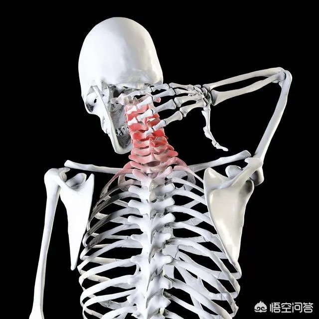 一天办公室坐下来肩膀和颈椎仿佛都不是自己的了，应该如何缓解？