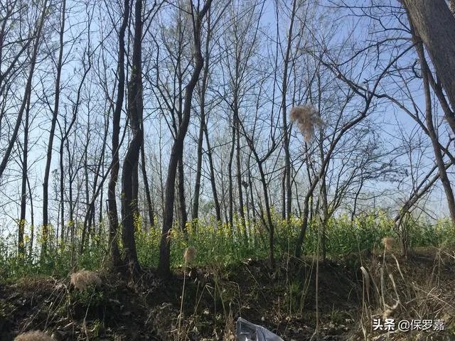 一年挣八万生意多吗？