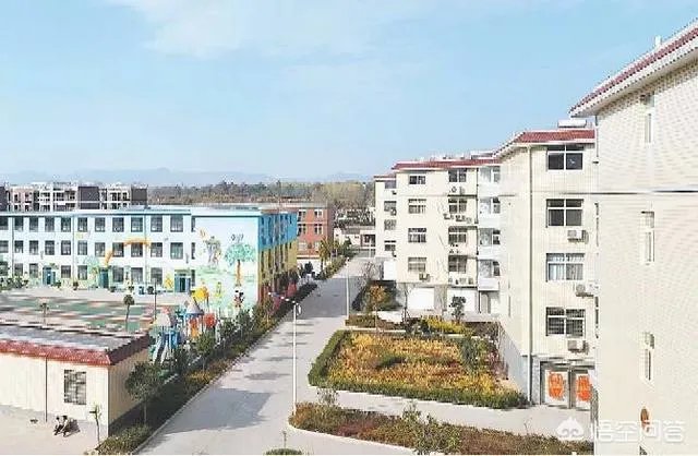 买木材能转多少钱