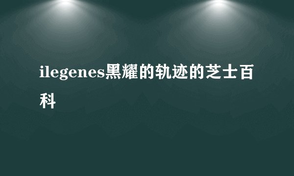 ilegenes黑耀的轨迹的芝士百科