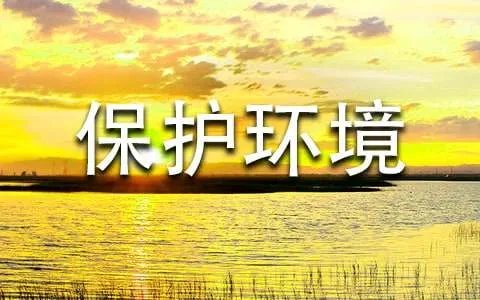 保护环境初中的作文