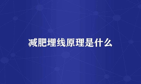 减肥埋线原理是什么