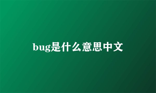 bug是什么意思中文