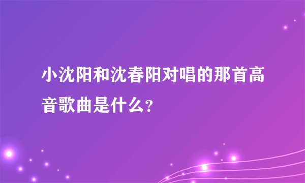 小沈阳和沈春阳对唱的那首高音歌曲是什么？