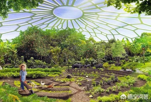 近几年休闲农业发展迅速，景观如何规划设计？