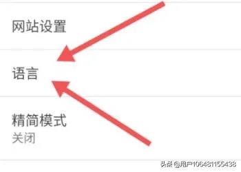 安卓手机谷歌商店英文版调中文