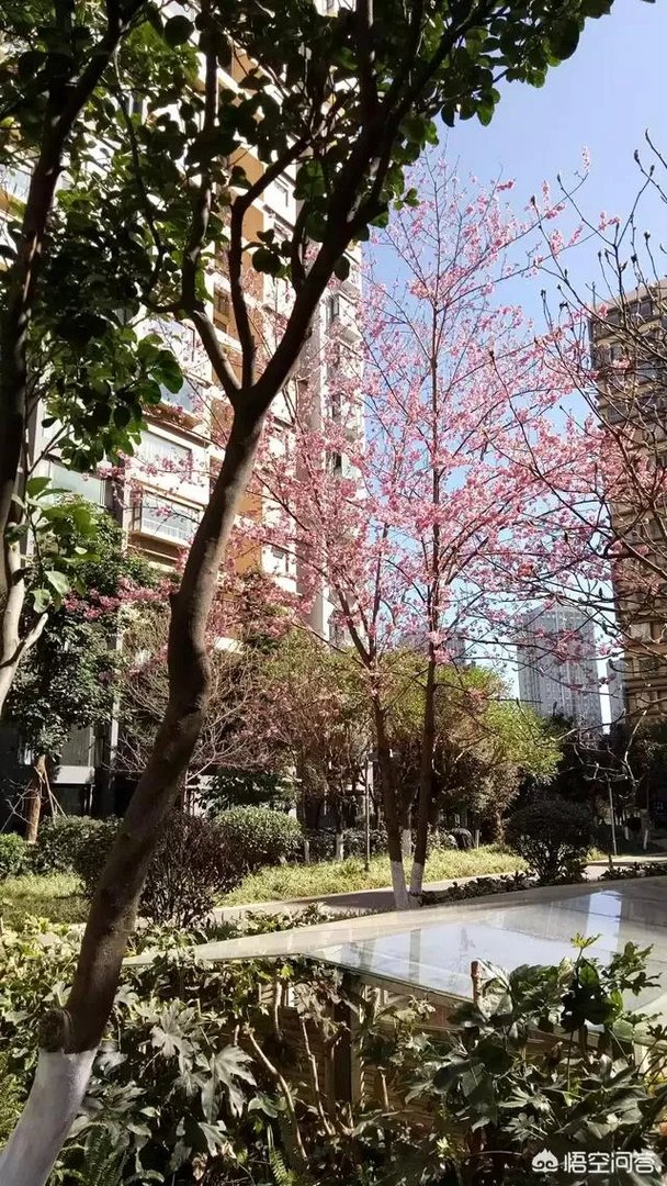 在昆明买二手房，有哪些靠谱的中介或网站值得推荐呢？