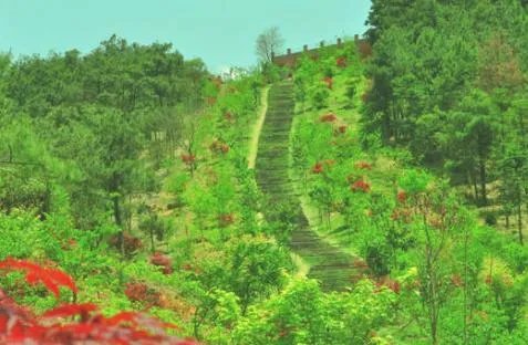 泉州南安香草世界有什么好玩的？