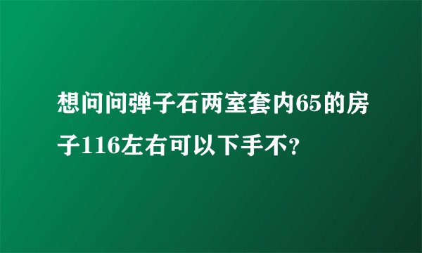 想问问弹子石两室套内65的房子116左右可以下手不？