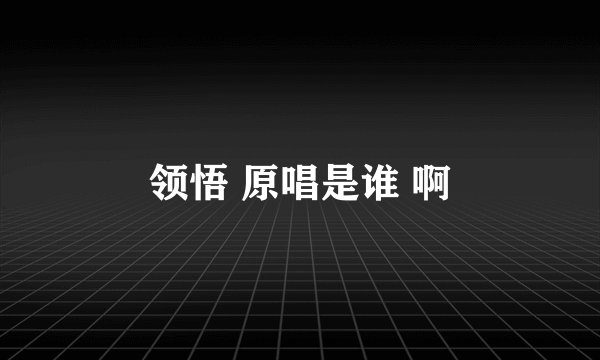 领悟 原唱是谁 啊