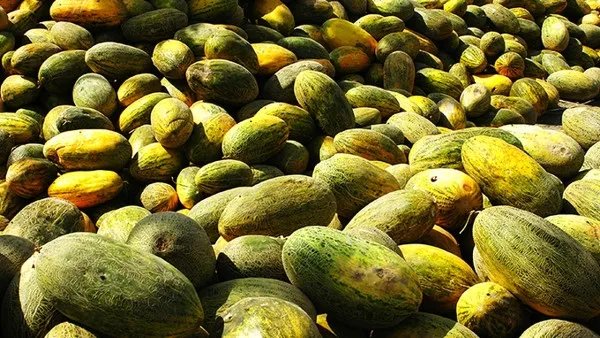 励志姐必看芙蓉姐姐减肥方法  超有效的减肥方法让你瘦不停