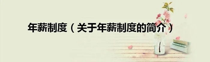 年薪制度（关于年薪制度的简介）
