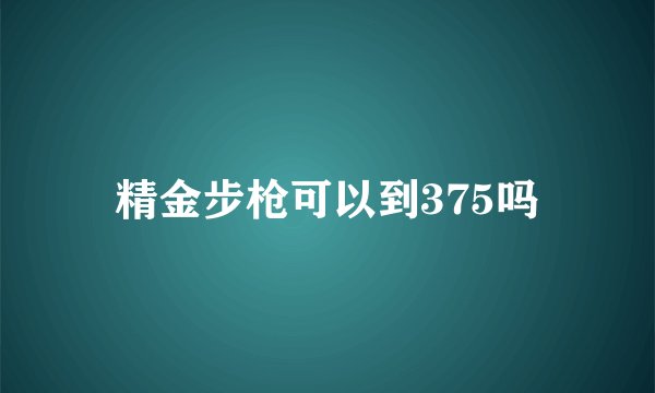 精金步枪可以到375吗
