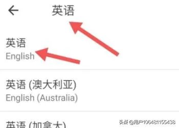 安卓手机谷歌商店英文版调中文