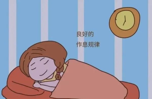 世界上公认最健康的作息时间表？