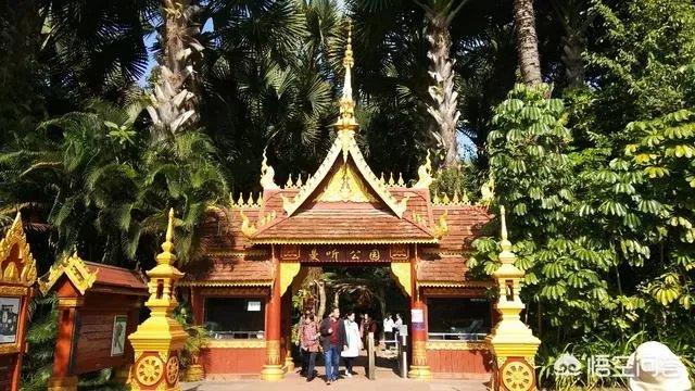 准备一月份从成都出发去西双版纳旅游，大概十天时间，有什么好的路线推荐吗？