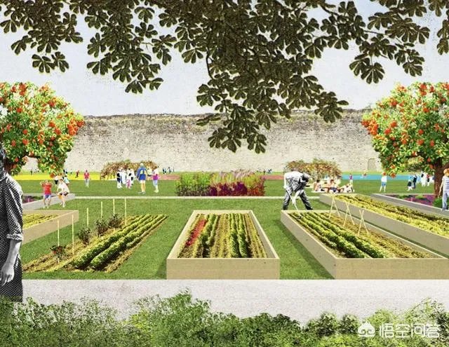 近几年休闲农业发展迅速，景观如何规划设计？