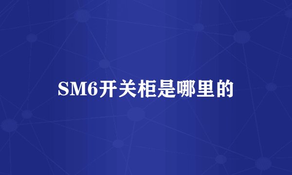 SM6开关柜是哪里的
