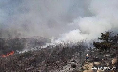 西海岸大火怎么着起来的?