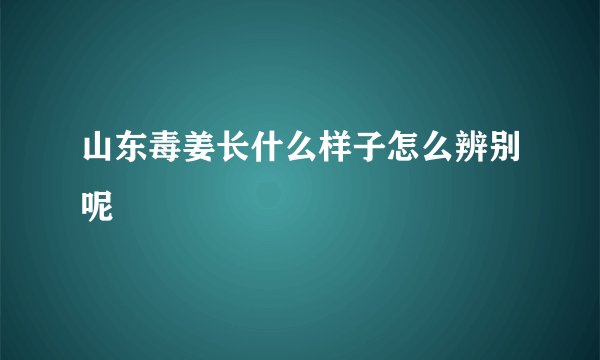 山东毒姜长什么样子怎么辨别呢