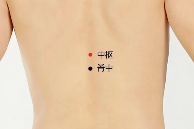 中柱的准确位置图片