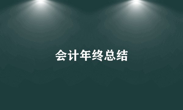 会计年终总结