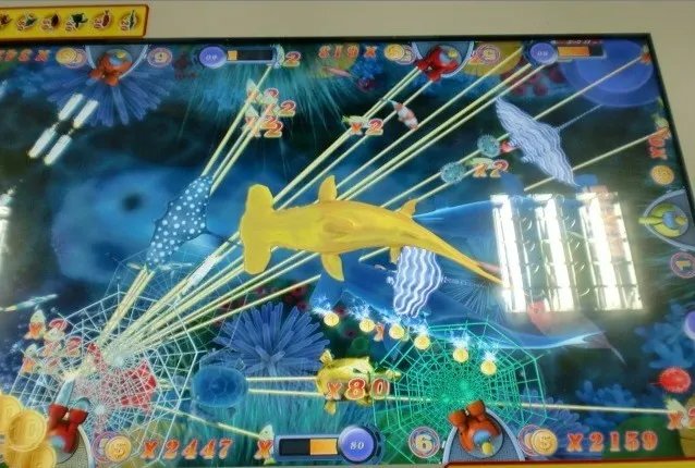 一网打尽之双响炮的产品说明：