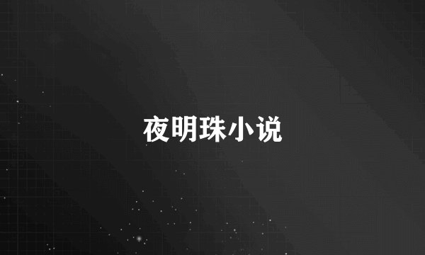 夜明珠小说