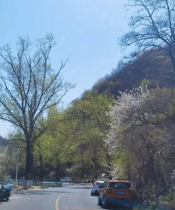 五一去哪玩？北京这7个地方景美、人少、好出片！