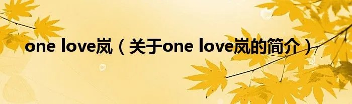 one love岚（关于one love岚的简介）