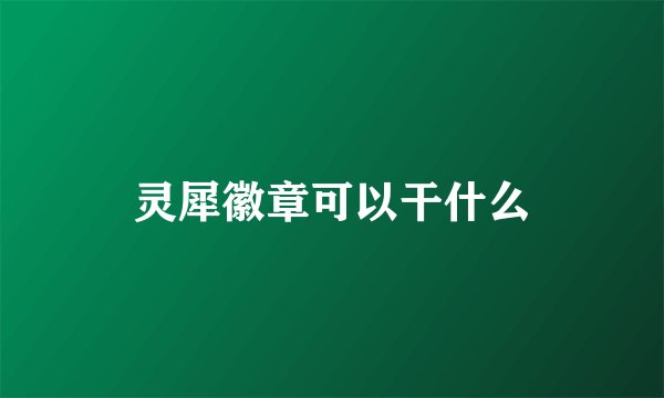 灵犀徽章可以干什么