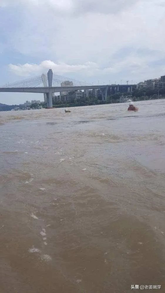 4月26日武汉鹦鹉洲长江大桥出现不明原因晃动，你认为怎么回事？