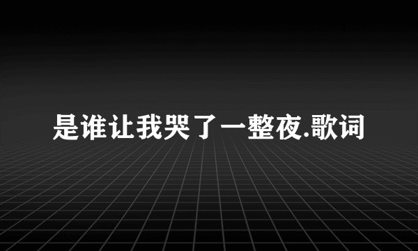 是谁让我哭了一整夜.歌词