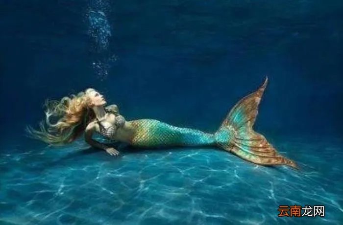 美人鱼化石推翻进化论 美人鱼化石图片