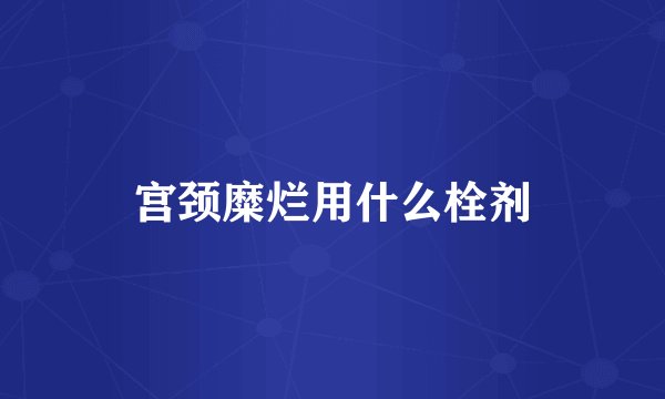 宫颈糜烂用什么栓剂