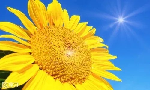 2020国庆中秋拼假攻略_国庆中秋16天假方案大全