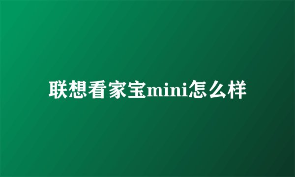 联想看家宝mini怎么样