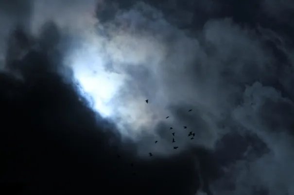 2019年第26号台风海鸥最新消息 海鸥今日凌晨登陆菲律宾后逐渐减弱